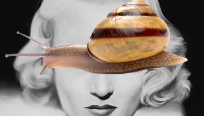 Snail Facial Naples FL